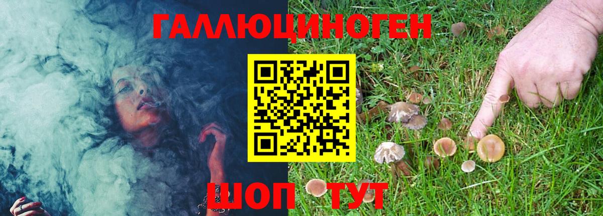 Псилоцибиновые грибы Magic Shrooms  Усть-Илимск 